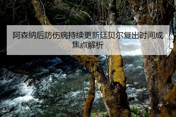 阿森纳后防伤病持续更新廷贝尔复出时间成焦点解析